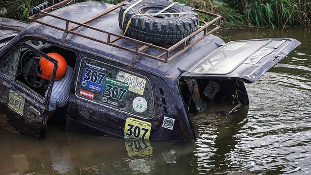 的实力对比 的实力对比