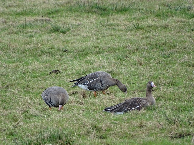 上精益求精 上精益求精