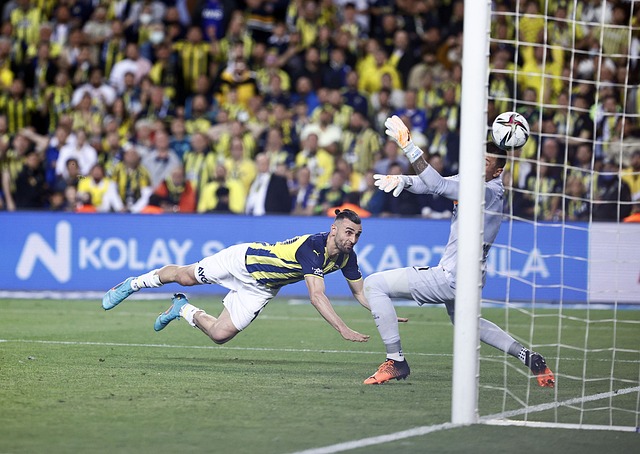 星球员的表 星球员的表