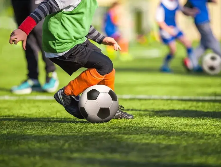 康的真正影 康的真正影