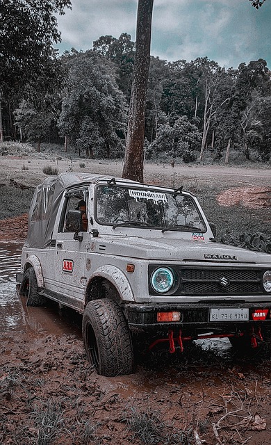 亚足联官方：海港队亚冠单场6人受罚，罚款3500美元.